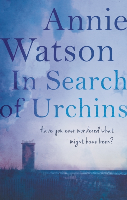 In Search of Urchins, Paperback / softback Book