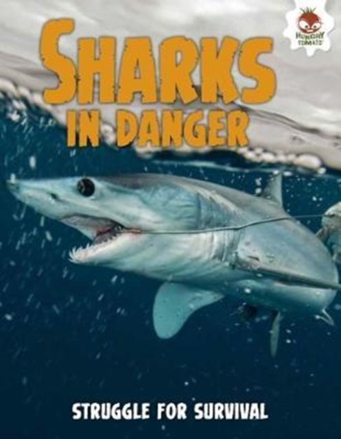Shark! Sharks in Danger, Paperback / softback Book