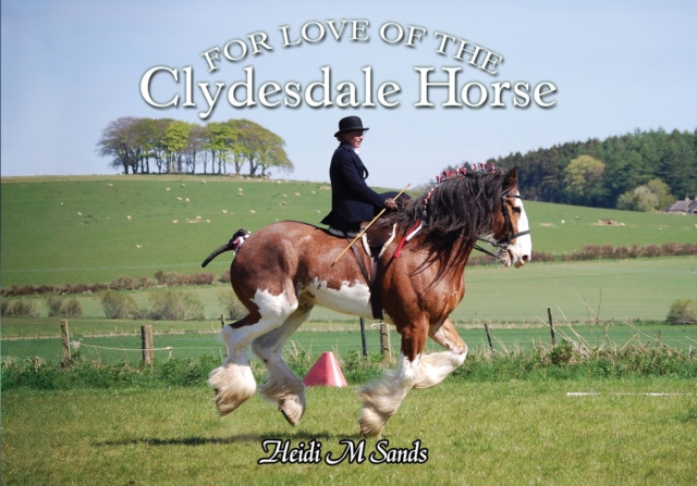 For Love of the Clydesdale Horse, Paperback / softback Book