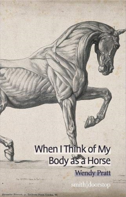When I Think of My Body as a Horse, Paperback / softback Book
