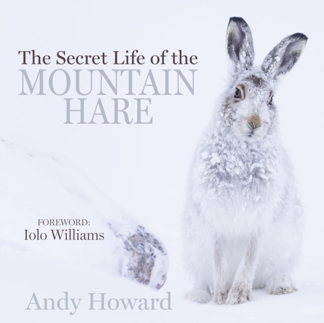 The Secret Life of the Mountain Hare, Hardback Book