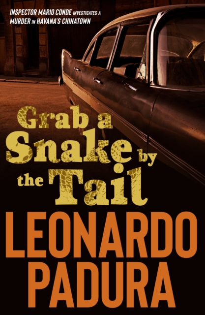Grab a Snake by the Tail : A Murder in Havana's Chinatown, EPUB eBook