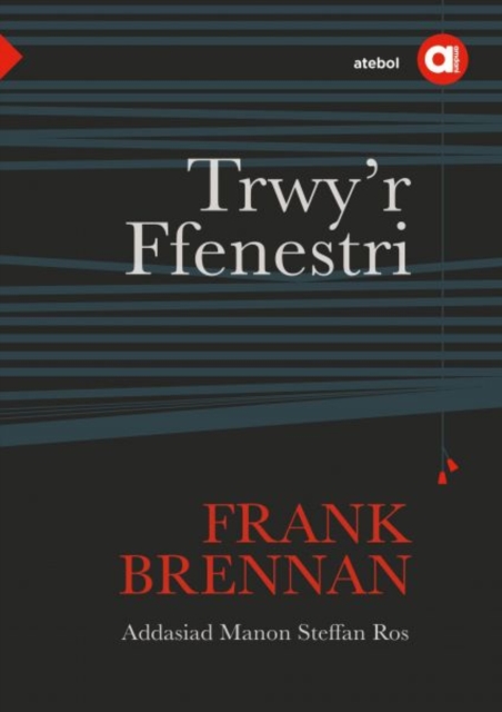 Cyfres Amdani: Trwy'r Ffenestri, Paperback / softback Book