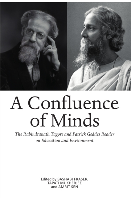 A Confluence of Minds, EPUB eBook