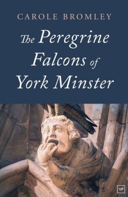 The Peregrine Falcons of York Minster, Paperback / softback Book