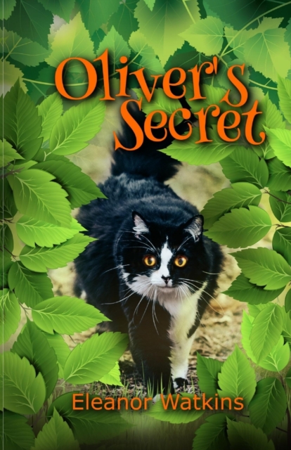 Oliver's Secret, Paperback / softback Book