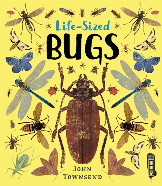 Life-Sized Bugs, Hardback Book