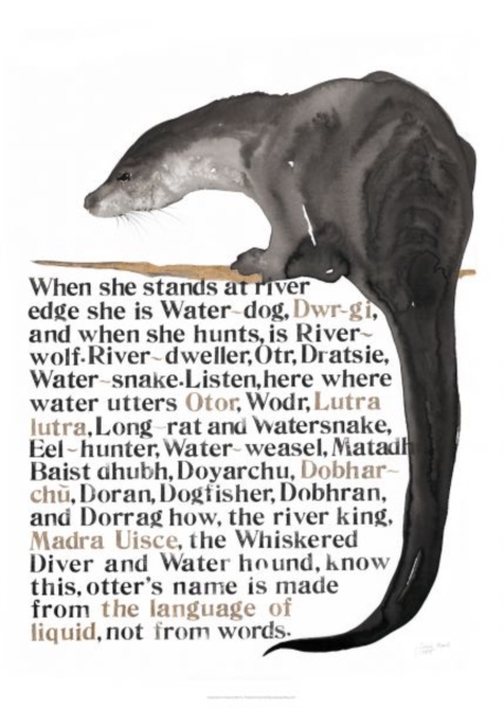 Jackie Morris Poster: Names of the Otter, The, Poster Book