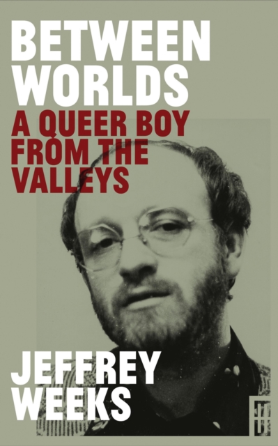 Between Worlds: A Queer Boy From the Valleys, EPUB eBook