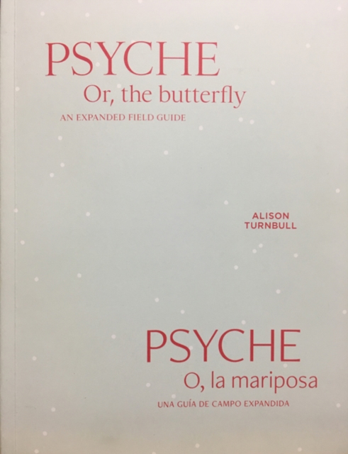 Alison Turnbull : PSYCHE. Or, the butterfly - An Expanded Field Guide, Paperback / softback Book