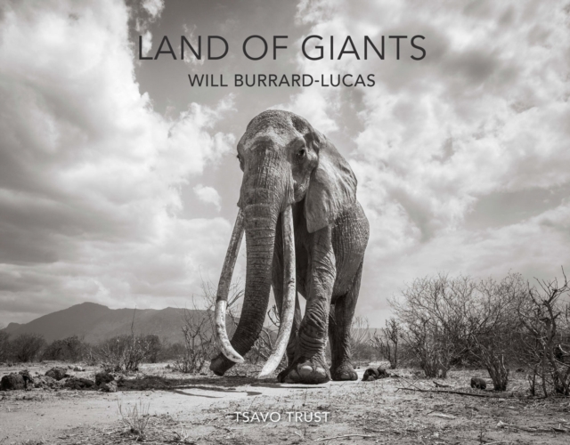 Land of Giants, Hardback Book