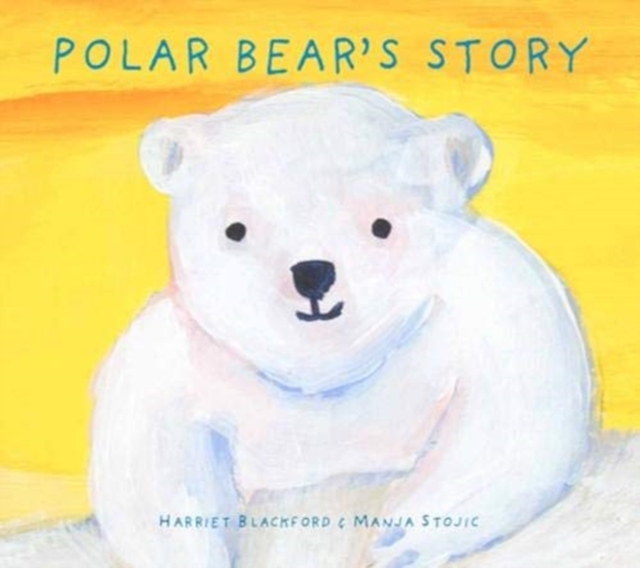 Polar Bear's Story, Hardback Book