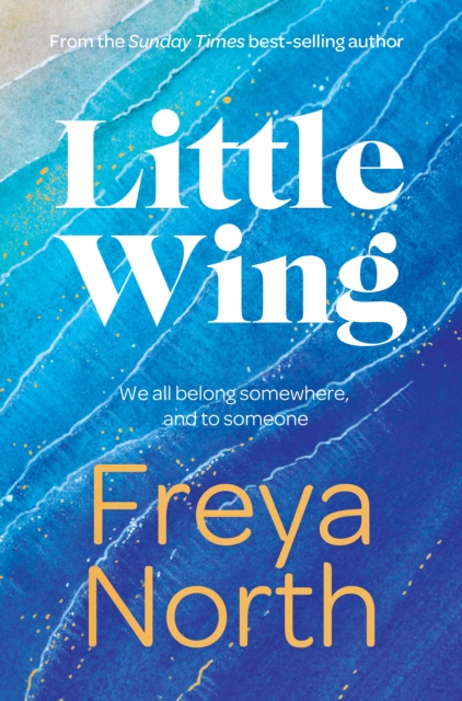 Little Wing, Paperback Book