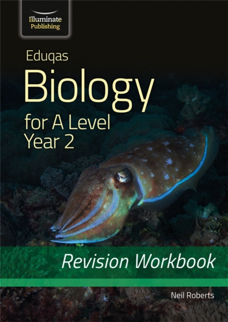 Eduqas Biology for A Level Year 2 - Revision Workbook, Paperback / softback Book