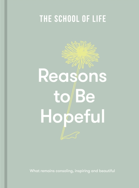 Reasons to be Hopeful : what remains consoling, inspiring and beautiful, Hardback Book