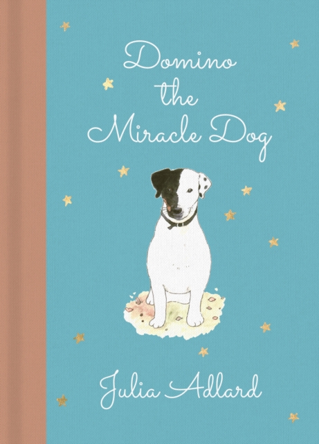 Domino the Miracle Dog : The true story of a little dog called Domino, Hardback Book