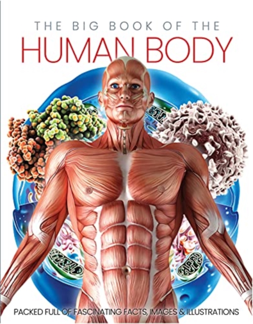 The Big Book of the Human body, Hardback Book