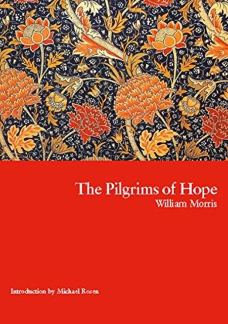 The Pilgrims Of Hope, Paperback / softback Book