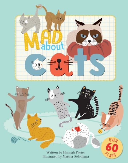 MAD ABOUT CATS, Novelty book Book