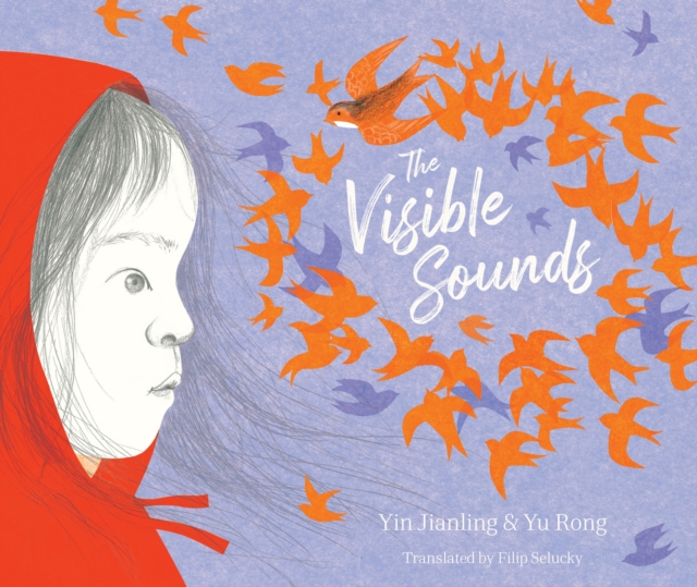 The Visible Sounds, Paperback / softback Book