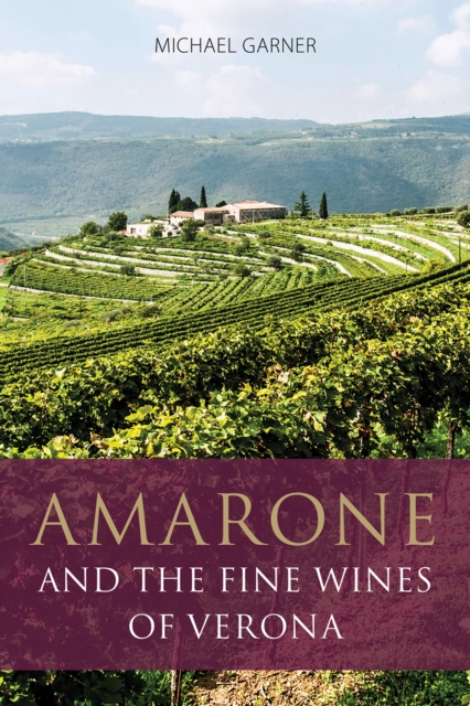 Amarone and the Fine Wines of Verona, Paperback / softback Book