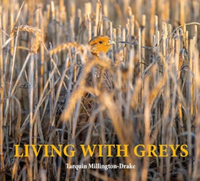 Living with Greys : A celebration of the grey partridge, Hardback Book