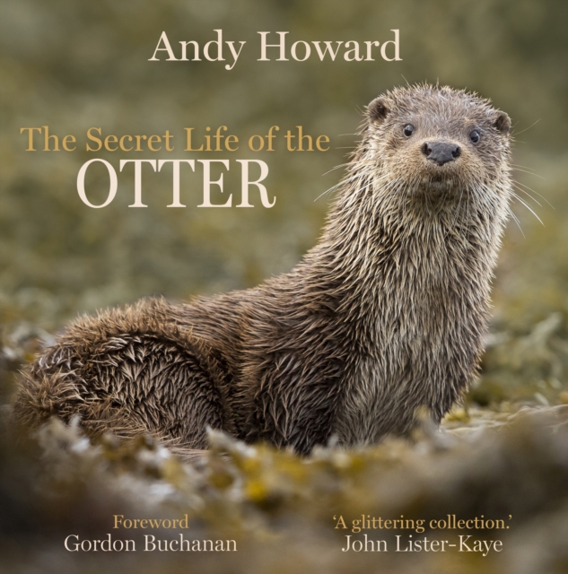 The Secret Life of the Otter, Hardback Book