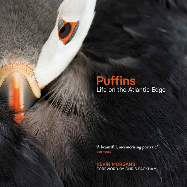 Puffins : Life on the Atlantic Edge, Hardback Book