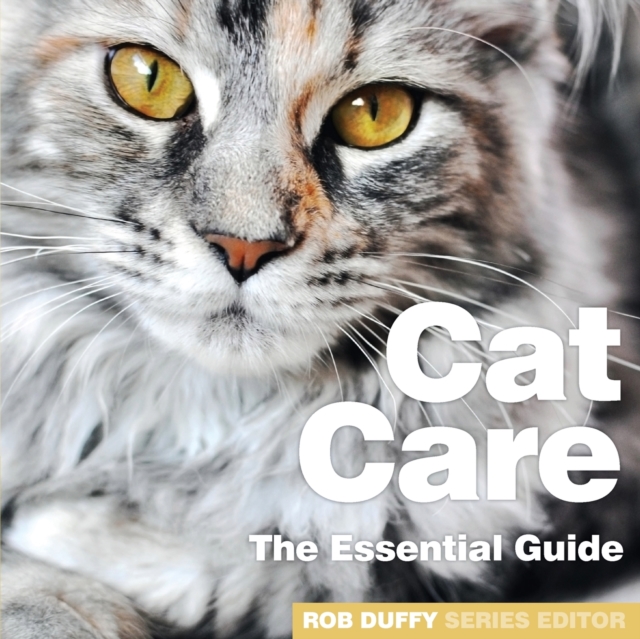 Cat Care : The Essential Guide, Paperback / softback Book
