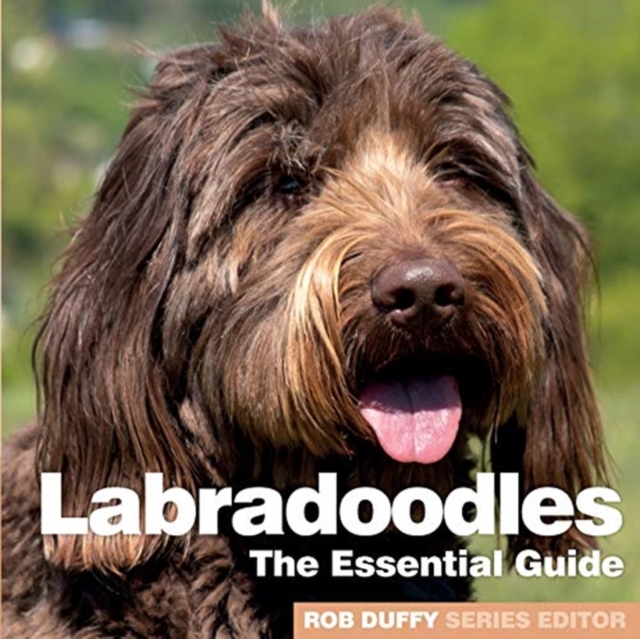 Labradoodles : The Essential Guide, Paperback / softback Book
