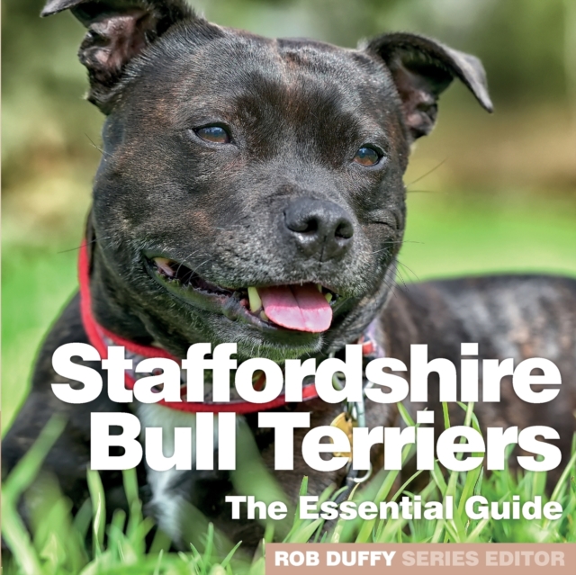Staffordshire Bull Terriers : The Essential Guide, Paperback / softback Book