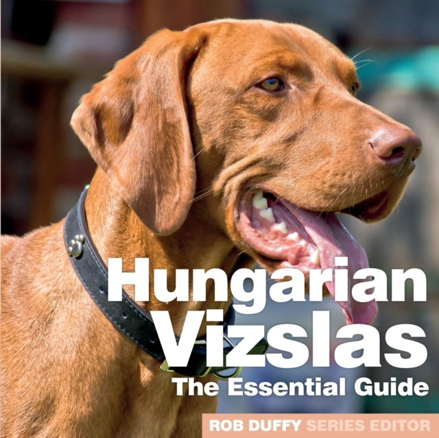 Hungarian Vizslas : The Essential Guide, Paperback / softback Book