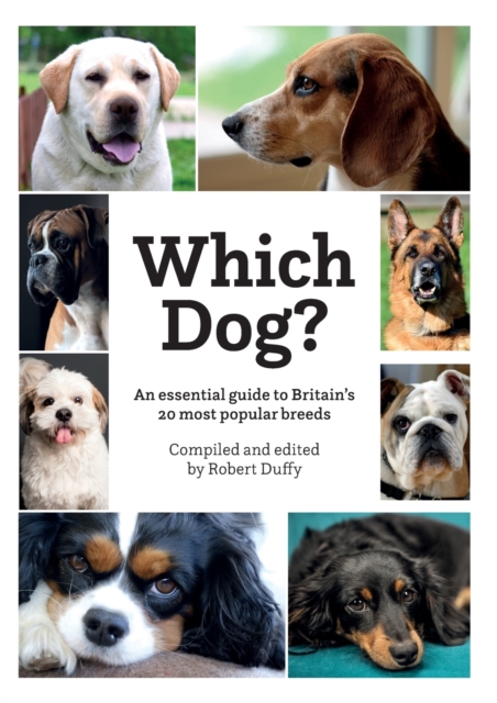 Which Dog, Paperback / softback Book