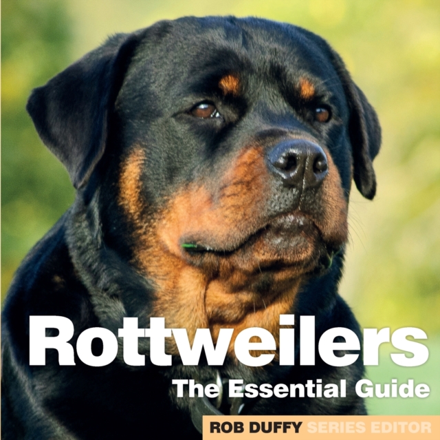 Rottweilers : The Essential Guide, Paperback / softback Book