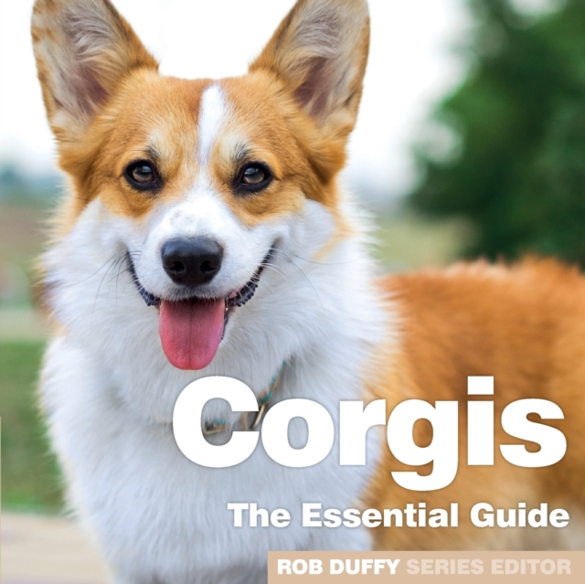 Corgis : The Essential Guide, Paperback / softback Book