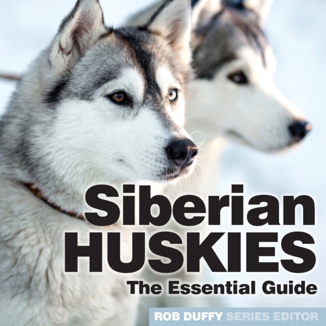 Siberian Huskies : The Essential Guide, Paperback / softback Book