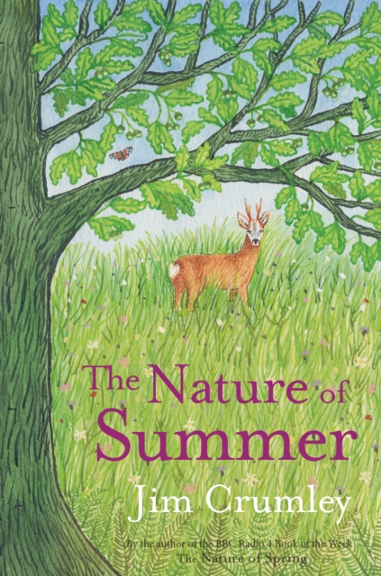 The Nature of Summer, Paperback / softback Book