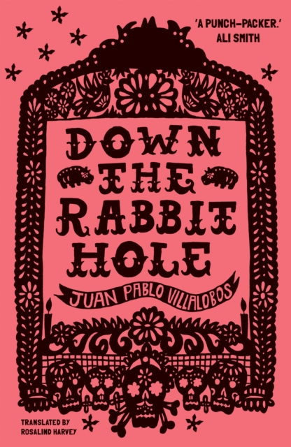 Down the Rabbit Hole : Shortlisted for the 2011 Guardian First Book Award, Paperback / softback Book
