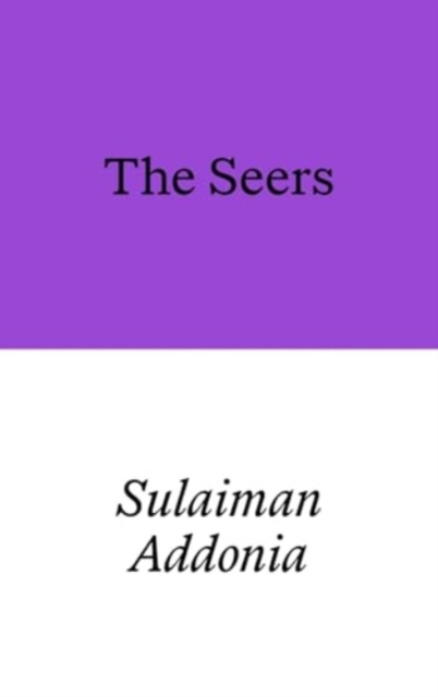The Seers, Paperback / softback Book