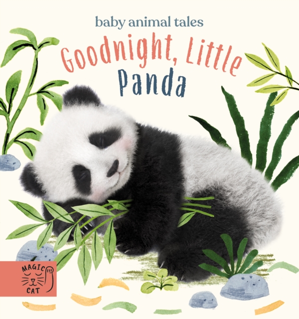 Goodnight, Little Panda : A book about fussy eating, Board book Book