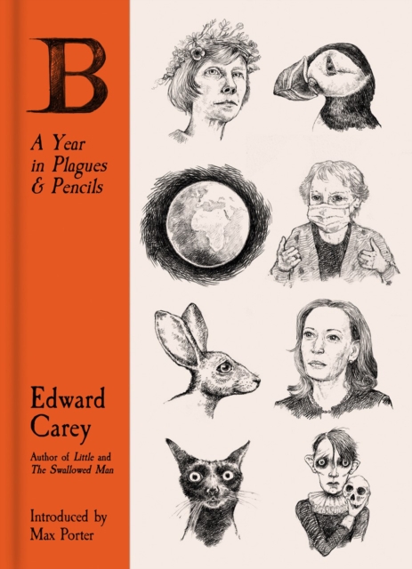 B: A Year in Plagues and Pencils, Hardback Book
