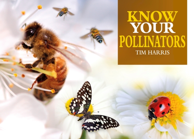 Know Your Pollinators, EPUB eBook