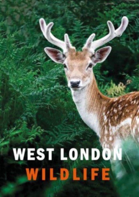 West London Wildlife, Hardback Book
