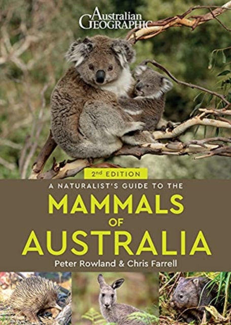 A Naturalist's Guide to the Mammals of Australia (2nd ed), Paperback / softback Book