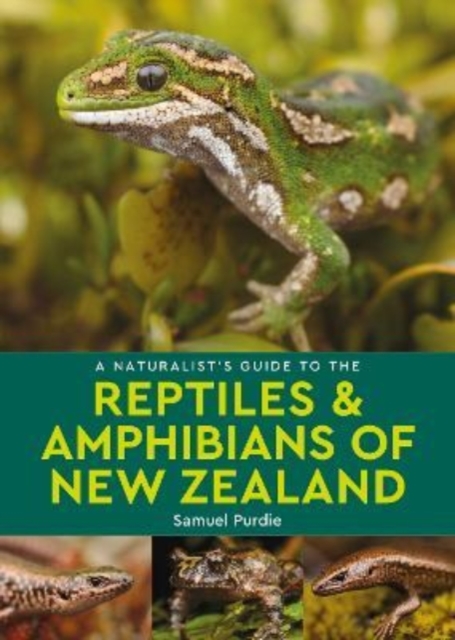 A Naturalist's Guide to the Reptiles & Amphibians Of New Zealand, Paperback / softback Book