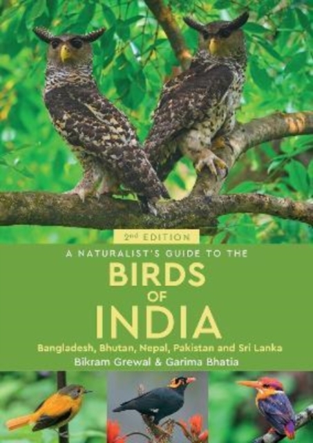 A Naturalist's Guide to the Birds of India, Paperback / softback Book