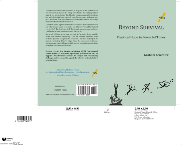 Beyond Survival, PDF eBook
