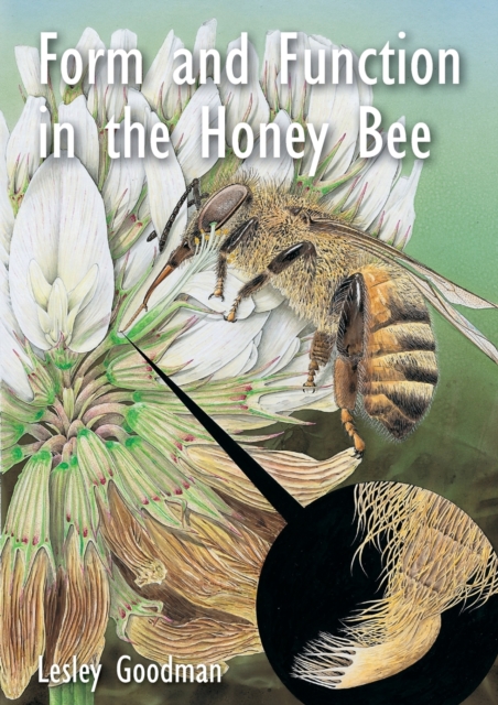 Form and Function in the Honey Bee, Paperback / softback Book