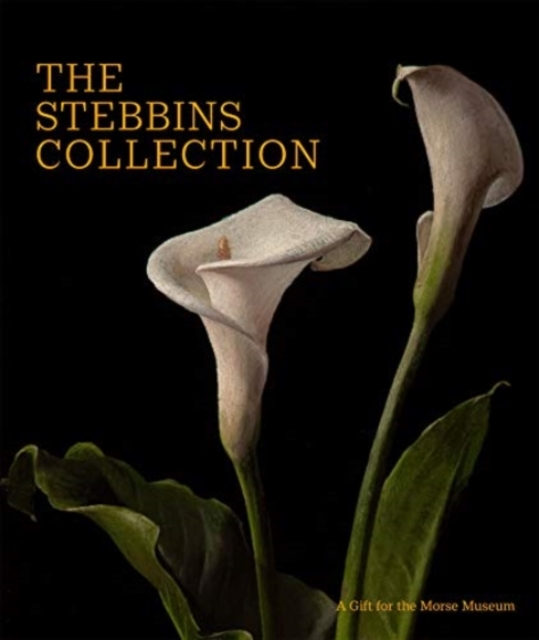 The Stebbins Collection : A Gift for the Morse Museum, Hardback Book