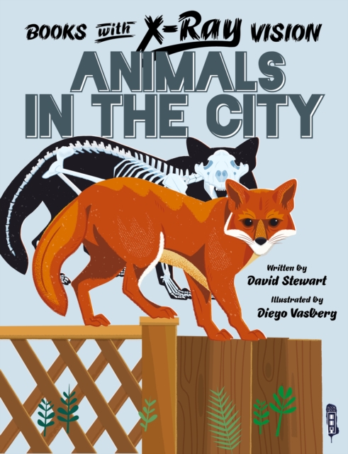 Books with X-Ray Vision: Animals in the City, Paperback / softback Book